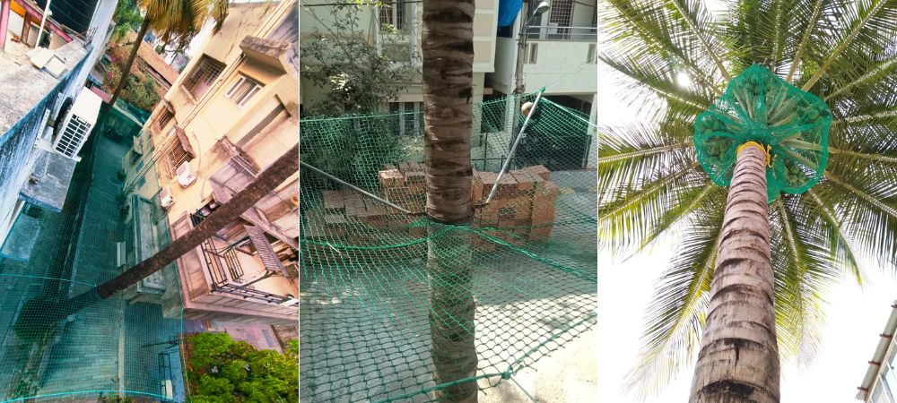 Coconut Tree Safety Nets