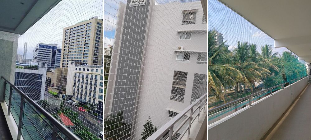 Pigeon Netting Service