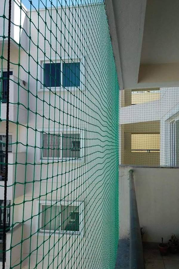 Pigeon Control Safety Nets